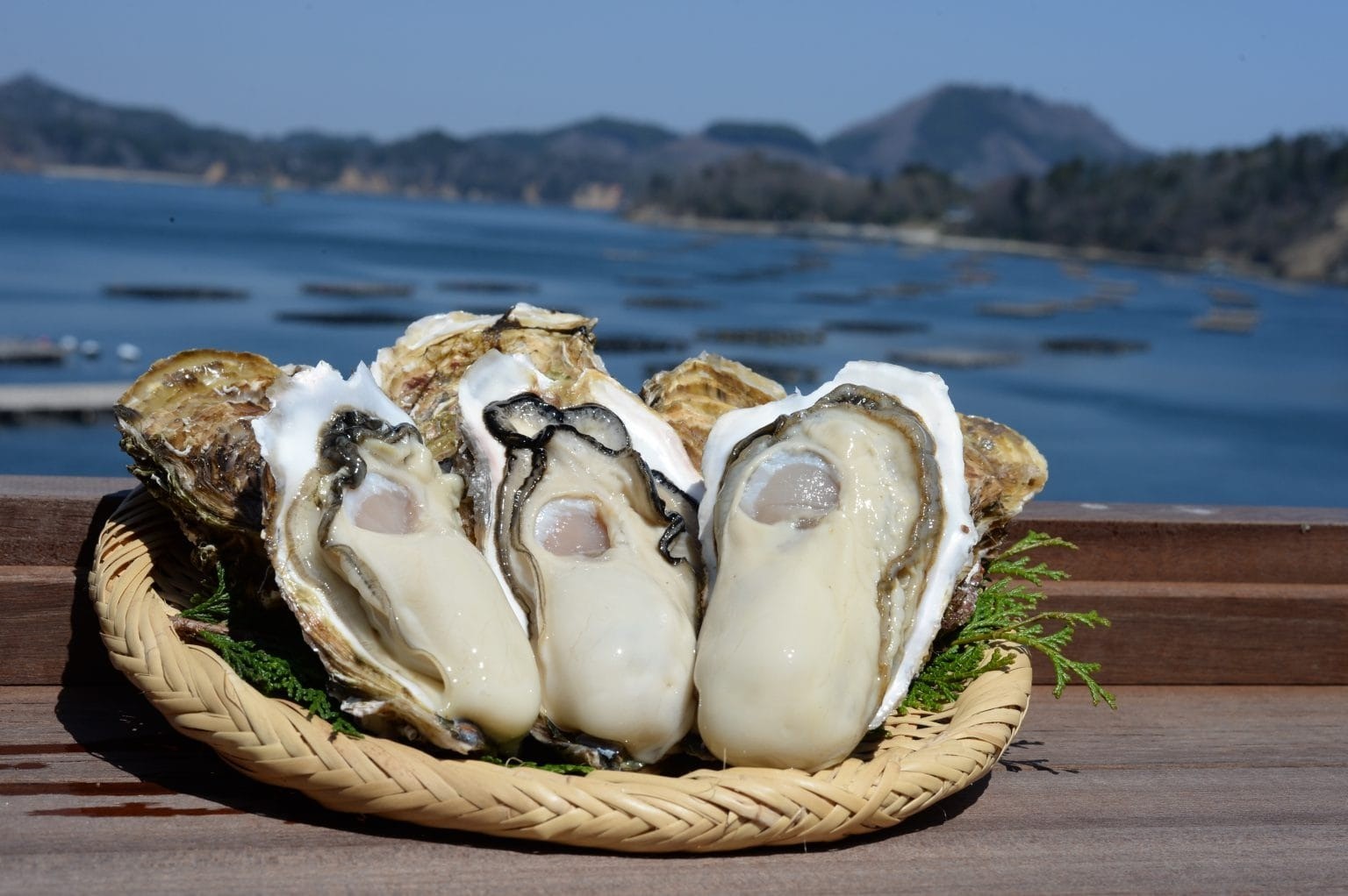 【報道資料】全国約400島から厳選した魚介グルメを味わえる！ritokei×有楽町 micro FOOD & IDEA MARKET「島の魚食WEEK」”を開催します｜お知らせ（プレスリリース）